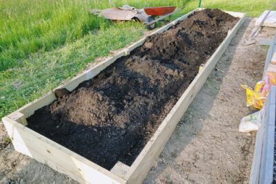 Best Soil Enhancers for Yard and Container Gardens: Types & Top Picks