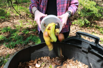 Adding Carbon to Compost for Successful Backyard Gardening